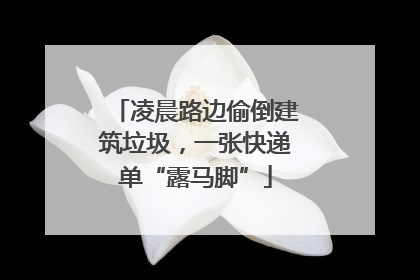 凌晨路边偷倒建筑垃圾，一张快递单“露马脚”