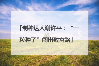 制种达人谢许平：“一粒种子”闯出致富路