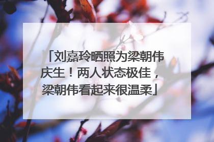 刘嘉玲晒照为梁朝伟庆生！两人状态极佳，梁朝伟看起来很温柔
