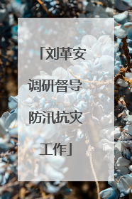 刘革安调研督导防汛抗灾工作