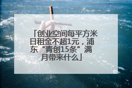 创业空间每平方米日租金不超1元，浦东“青创15条”满月带来什么