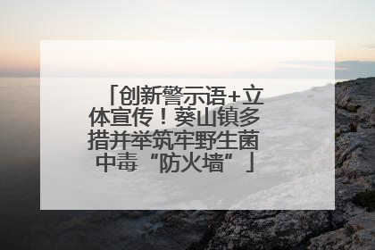 创新警示语+立体宣传！葵山镇多措并举筑牢野生菌中毒“防火墙”