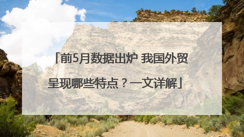 前5月数据出炉 我国外贸呈现哪些特点？一文详解