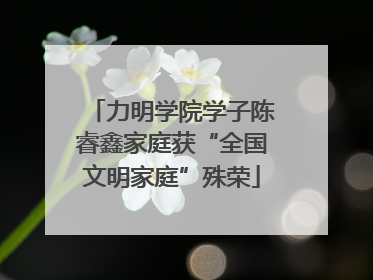 力明学院学子陈睿鑫家庭获“全国文明家庭”殊荣