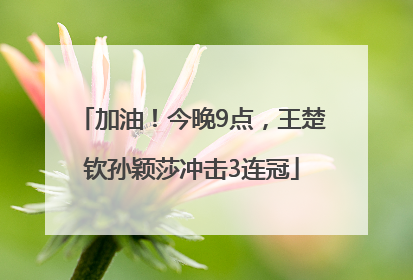 加油！今晚9点，王楚钦孙颖莎冲击3连冠