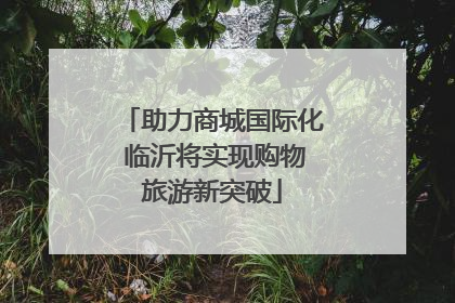 助力商城国际化 临沂将实现购物旅游新突破