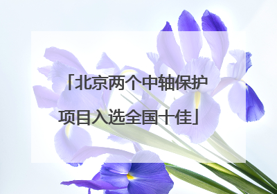 北京两个中轴保护项目入选全国十佳