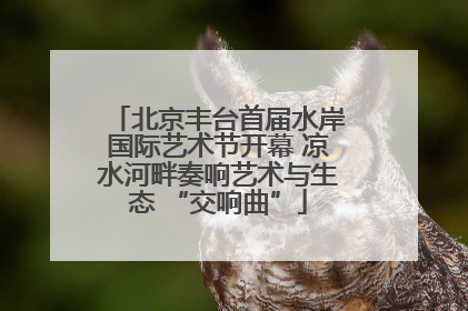 北京丰台首届水岸国际艺术节开幕 凉水河畔奏响艺术与生态 “交响曲”