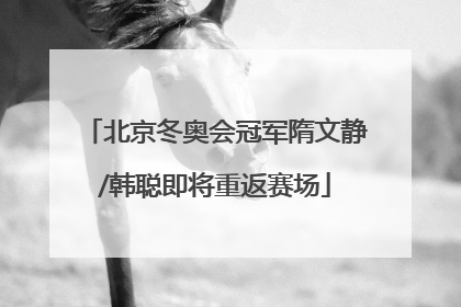 北京冬奥会冠军隋文静/韩聪即将重返赛场