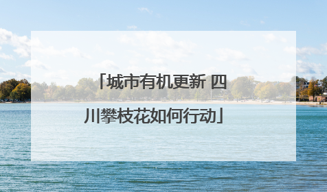 城市有机更新 四川攀枝花如何行动