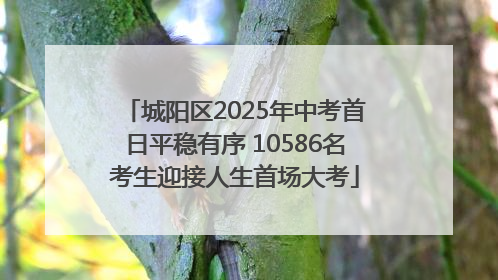 城阳区2025年中考首日平稳有序 10586名考生迎接人生首场大考