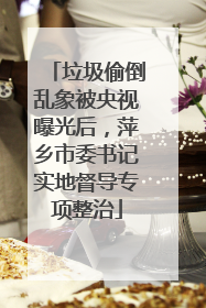垃圾偷倒乱象被央视曝光后，萍乡市委书记实地督导专项整治