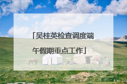 吴桂英检查调度端午假期重点工作
