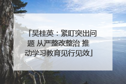 吴桂英：紧盯突出问题 从严整改整治 推动学习教育见行见效
