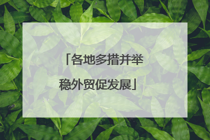 各地多措并举稳外贸促发展