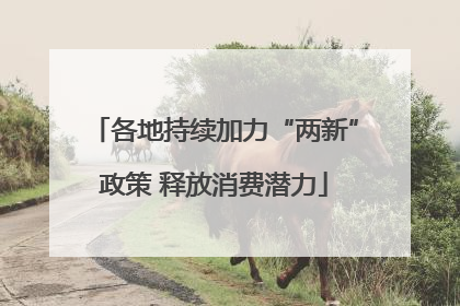 各地持续加力“两新”政策 释放消费潜力