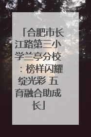 合肥市长江路第三小学兰亭分校：榜样闪耀绽光彩 五育融合助成长