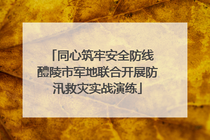 同心筑牢安全防线 醴陵市军地联合开展防汛救灾实战演练