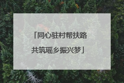 同心驻村帮扶路 共筑瑶乡振兴梦