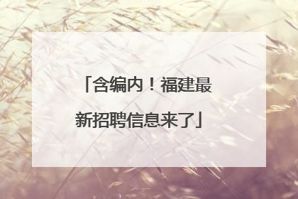 含编内！福建最新招聘信息来了