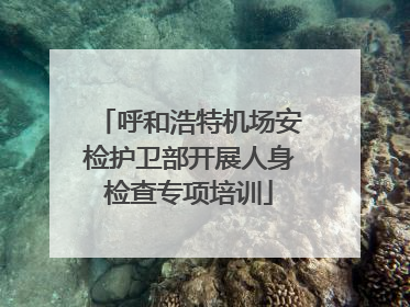 呼和浩特机场安检护卫部开展人身检查专项培训
