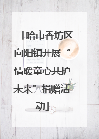 哈市香坊区向阳镇开展“情暖童心共护未来”捐赠活动