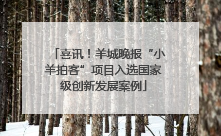 喜讯！羊城晚报“小羊拍客”项目入选国家级创新发展案例