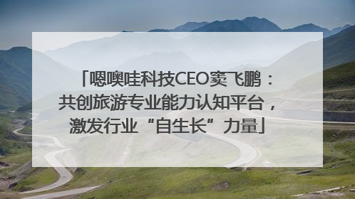 嗯噢哇科技CEO窦飞鹏：共创旅游专业能力认知平台，激发行业“自生长”力量
