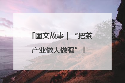图文故事｜“把茶产业做大做强”