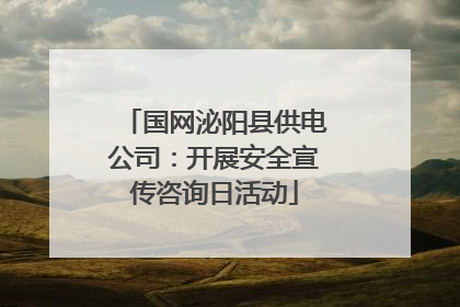 国网泌阳县供电公司：开展安全宣传咨询日活动