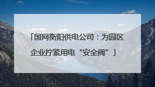 国网衡阳供电公司：为园区企业拧紧用电“安全阀”