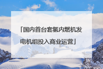 国内首台套氢内燃机发电机组投入商业运营