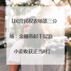 国营民权农场第三分场：金穗卷起千层浪 小麦收获正当时