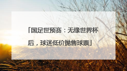 国足世预赛：无缘世界杯后，球迷低价抛售球票