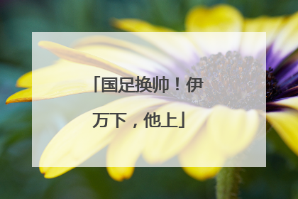 国足换帅！伊万下，他上