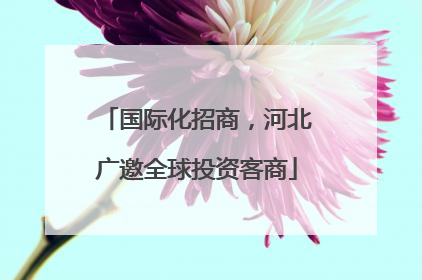 国际化招商，河北广邀全球投资客商