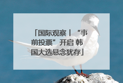 国际观察丨“事前投票”开启 韩国大选悬念犹存