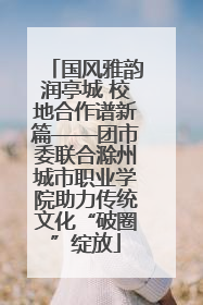 国风雅韵润亭城 校地合作谱新篇——团市委联合滁州城市职业学院助力传统文化“破圈”绽放