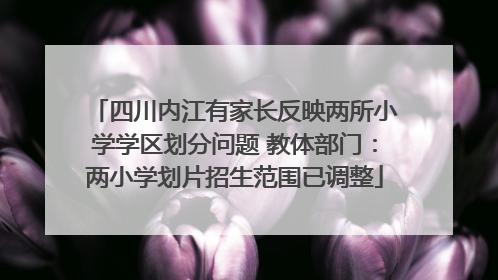 四川内江有家长反映两所小学学区划分问题 教体部门：两小学划片招生范围已调整