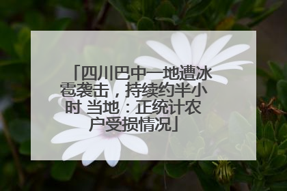 四川巴中一地遭冰雹袭击，持续约半小时 当地：正统计农户受损情况