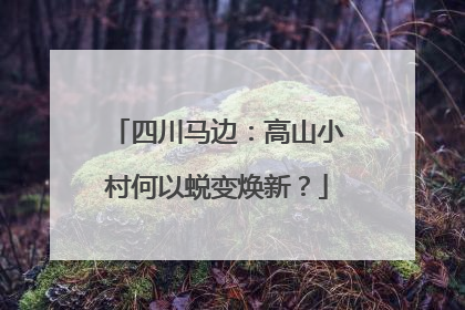 四川马边：高山小村何以蜕变焕新？