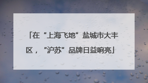 在“上海飞地”盐城市大丰区，“沪苏”品牌日益响亮