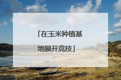 在玉米种植基地展开竞技