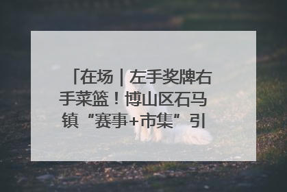 在场｜左手奖牌右手菜篮！博山区石马镇“赛事+市集”引燃周末经济