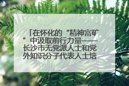 在怀化的“精神富矿”中汲取前行力量——长沙市无党派人士和党外知识分子代表人士培训班在怀化圆满举办