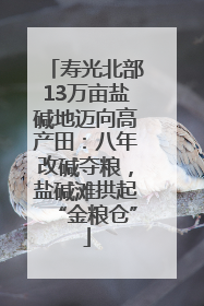 寿光北部13万亩盐碱地迈向高产田：八年改碱夺粮，盐碱滩拱起“金粮仓”