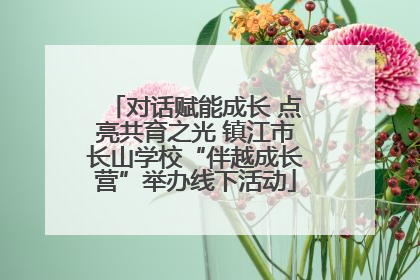 对话赋能成长 点亮共育之光 镇江市长山学校“伴越成长营”举办线下活动