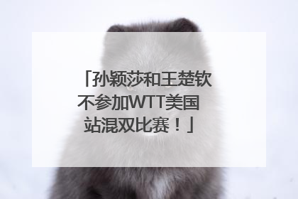 孙颖莎和王楚钦不参加WTT美国站混双比赛！