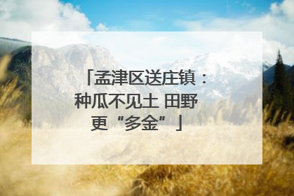 孟津区送庄镇：种瓜不见土 田野更“多金”