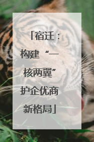 宿迁：构建“一核两翼”护企优商新格局